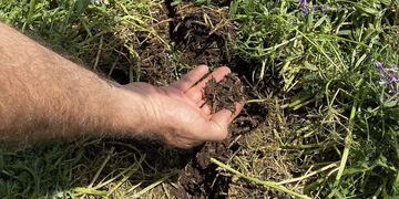 se puede lograr una producción más sustentable, que cuide el estado de los suelos.