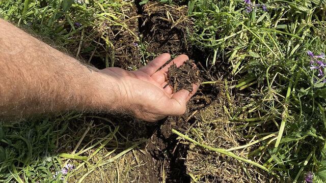 se puede lograr una producción más sustentable, que cuide el estado de los suelos.