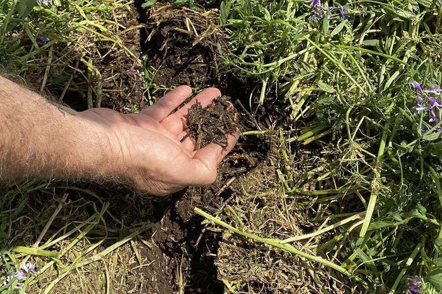 se puede lograr una producción más sustentable, que cuide el estado de los suelos.