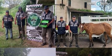 Los animales recuperados.