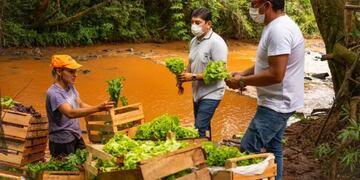Aumento en las ventas de productores de Gobernador Roca.