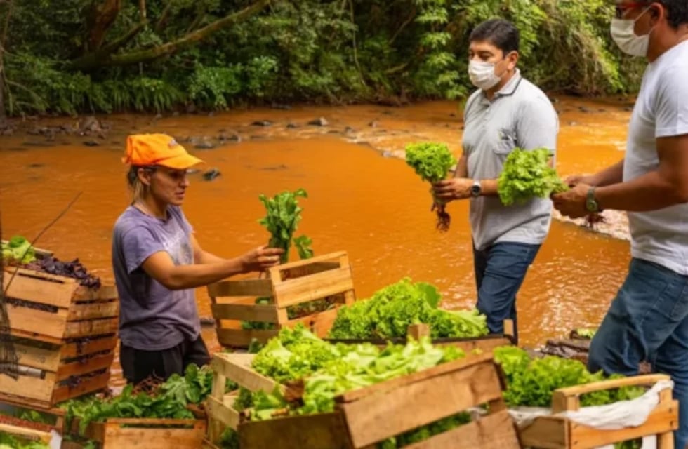 Aumento en las ventas de productores de Gobernador Roca