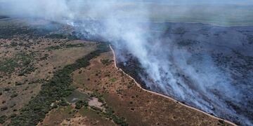 La Fundación Rewilding Argentina, estimó que el fuego destruyó el 40% del Parque Nacional Iberá.
