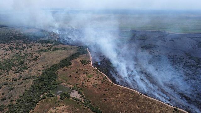La Fundación Rewilding Argentina, estimó que el fuego destruyó el 40% del Parque Nacional Iberá.