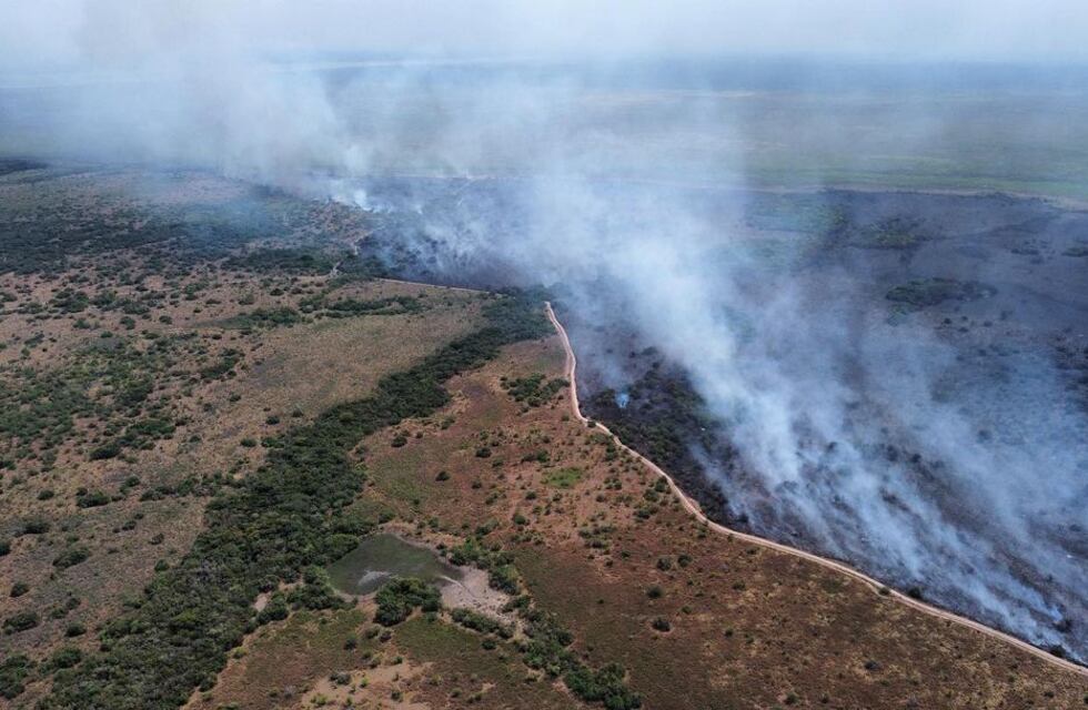 ¿Qué es el programa Renacer Iberá?: se incendió el 40% del Parque Nacional
