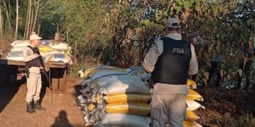 Incautan millonario cargamento de soja en Alba Posse.