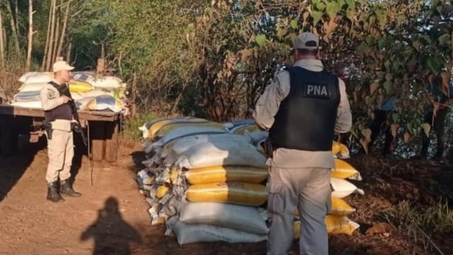 Incautan millonario cargamento de soja en Alba Posse.