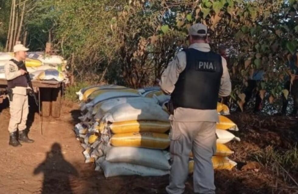 Incautan millonario cargamento de soja en Alba Posse