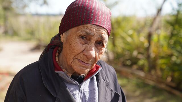 Salió a la luz un video de la abuela de Loan donde señala al culpable: “Que lo haga devolver...”. Foto Clarín