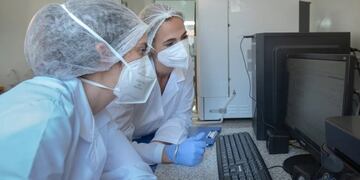 Material vegetal producido en Cannava será utilizado por el INTI para desarrollo científico.