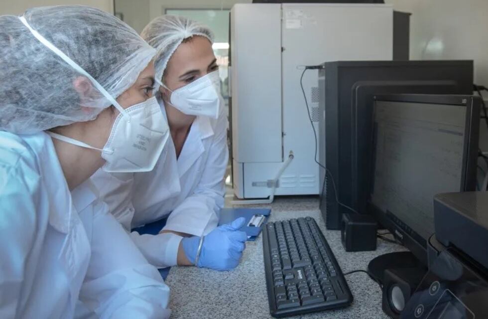 Producción de cannabis medicinal, una “industria con mucho futuro” en Jujuy