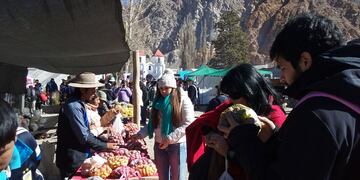 Los productores de la Quebrada del Toro en la Fiesta de la Papa Andina.