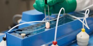Autorizaron el medicamento Paxolovid para tratar del coronavirus.