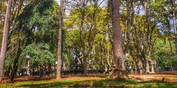 La Plaza Buratovich ocupa una manzana en el corazón del barrio Echesortu de Rosario.
