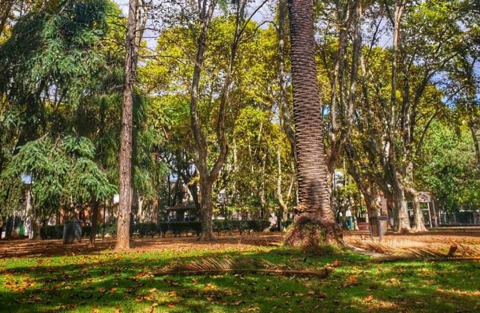 Murió un cartonero que estaba grave tras un intento de robo en barrio Echesortu