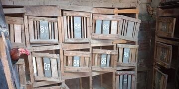 Más de 60 demorados en una riña de gallos