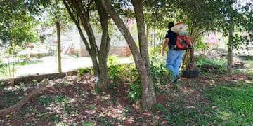 Fueron fumigados los albergues de la Facultad de Ciencias Forestales