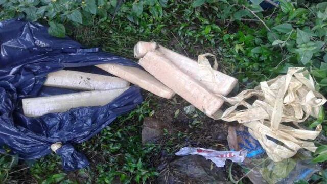 Hallan oculta marihuana en Olegario Victor Andrade.