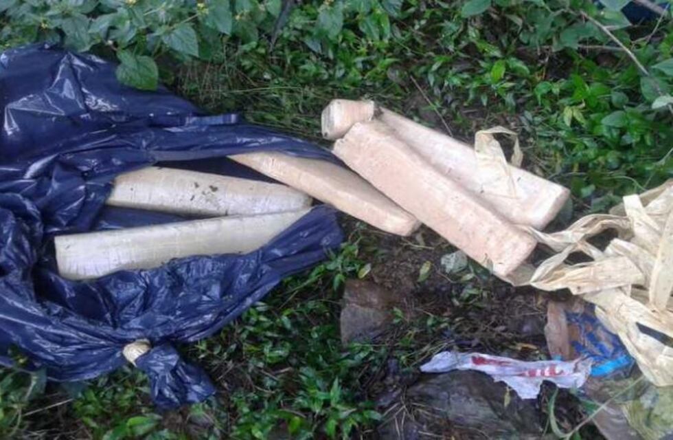 Hallan oculta marihuana en Olegario Victor Andrade