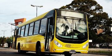 Las empresas que prestan servicios de corta y media distancia actualizarán las tarifas.