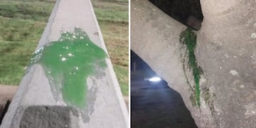 Suceso extraño en La Plata: apareció una baba que cubre la ciudad.