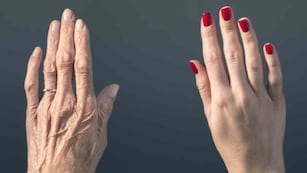 Se detectaron dos edades en las que el cuerpo envejece más.