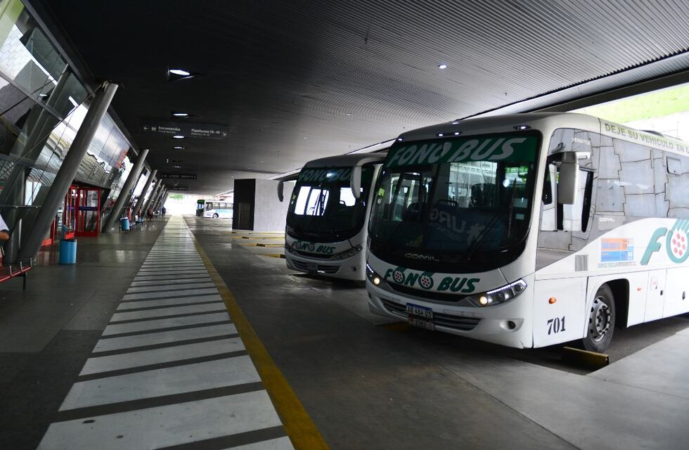 PASO 2021 en Córdoba: el transporte interurbano será gratuito este domingo