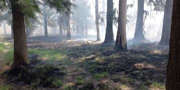La Reserva Ecológica de Ciudad Evita, envuelta en llamas.