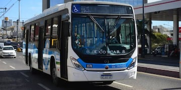 Tamse incorporó una ruta en la ciudad de Córdoba.