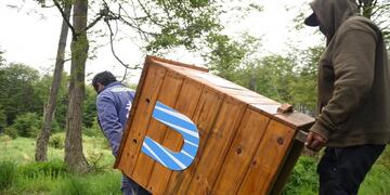 Mes del compostaje: la ciudad se adhiere a las acciones de concientización