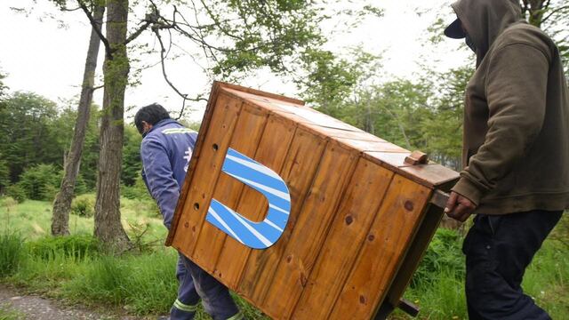 Mes del compostaje: la ciudad se adhiere a las acciones de concientización