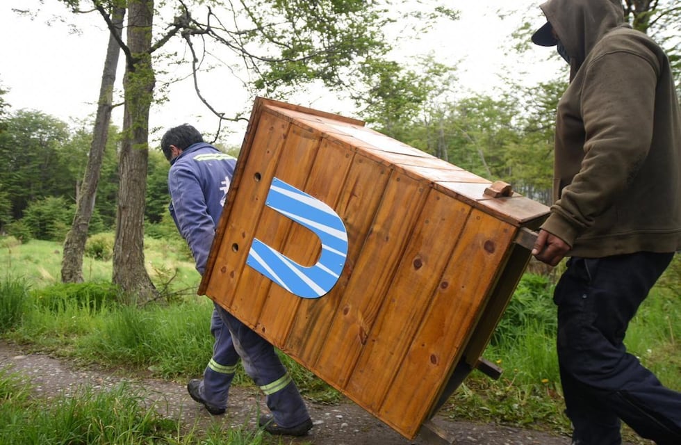 Mes del compostaje: la ciudad se adhiere a las acciones de concientización