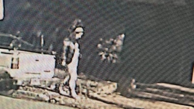 Última imagen de Cecilia Strzyzowski con vida. Foto: Clarín