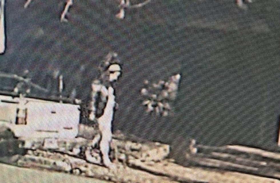 Revelaron el último video de Cecilia Strzyzowski: los movimientos de los Sena el día en que la habrían asesinado