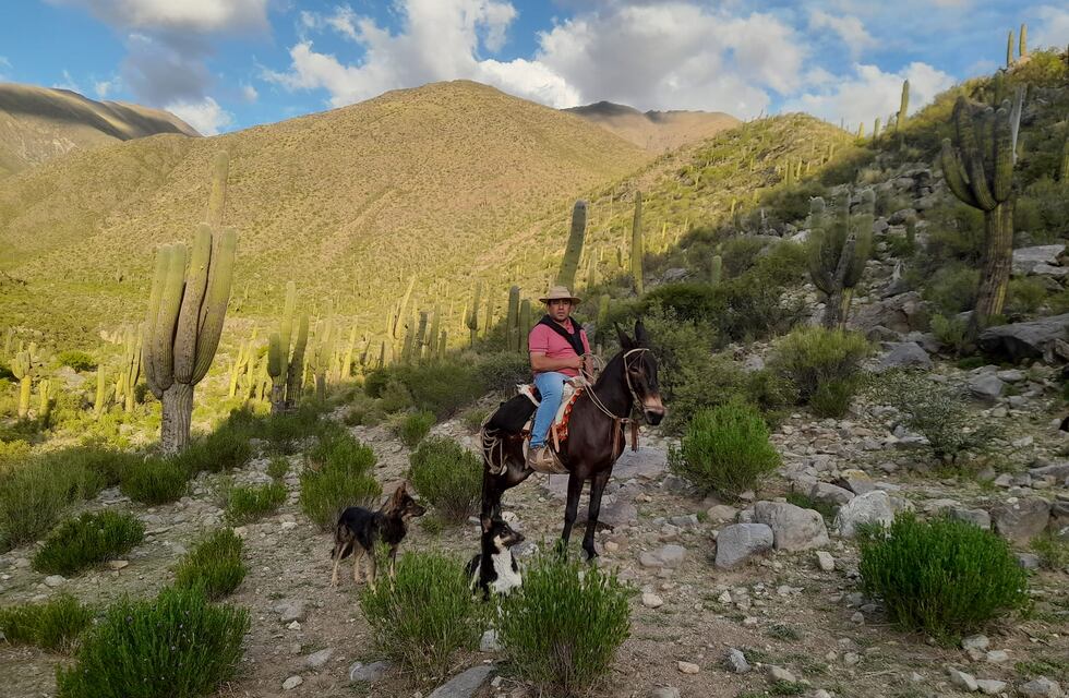 Pre-Pachamama y Pachamama 2024 en Amaicha del Valle