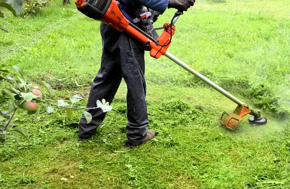 Un vecino cortó el pasto de las plazas de un barrio de Córdoba y apuntó contra la Municipalidad