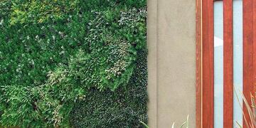 Curso sobre jardines verticales