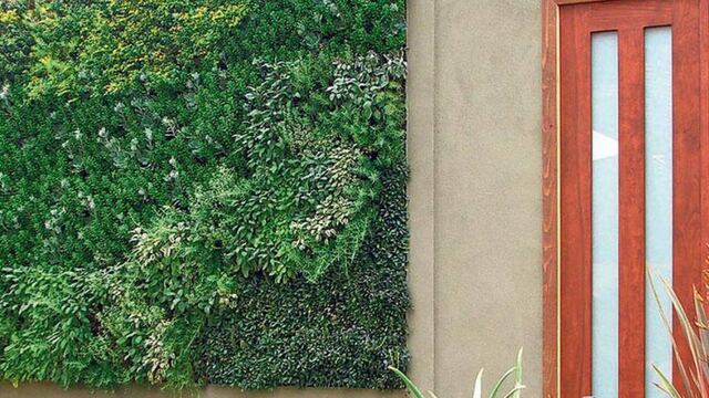 Curso sobre jardines verticales