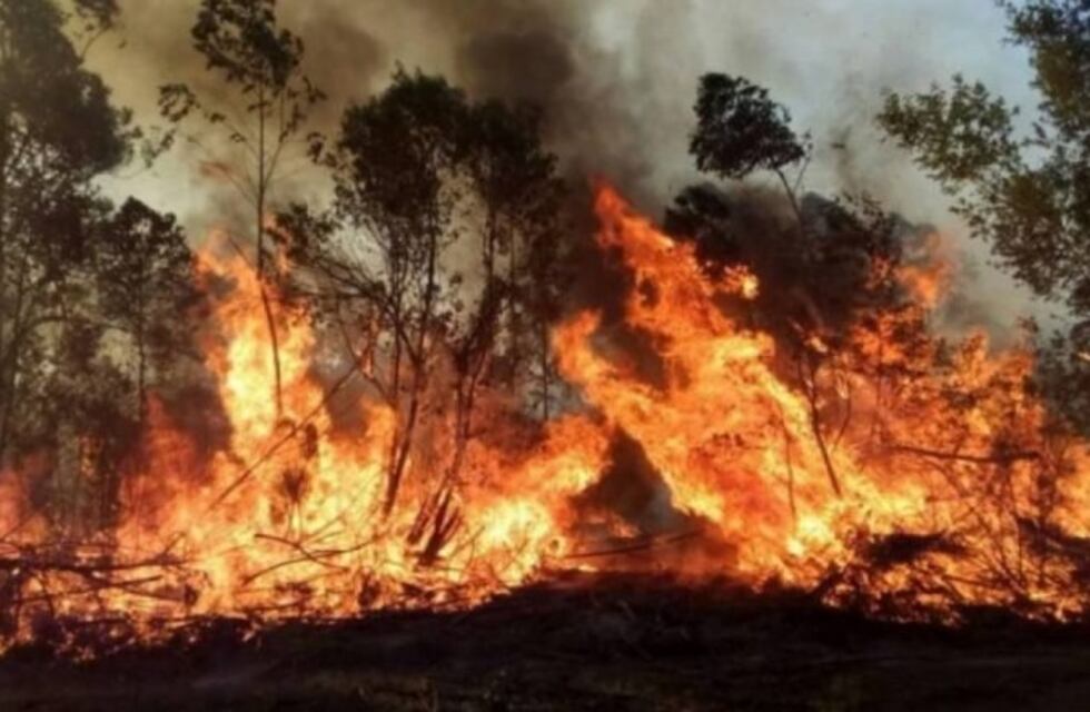 Incendios en Corrientes: el fuego llegó a Paraje Galarza y generó pánico