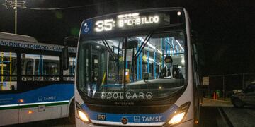 Los nuevos servicios de Tamse. (Municipalidad de Córdoba)