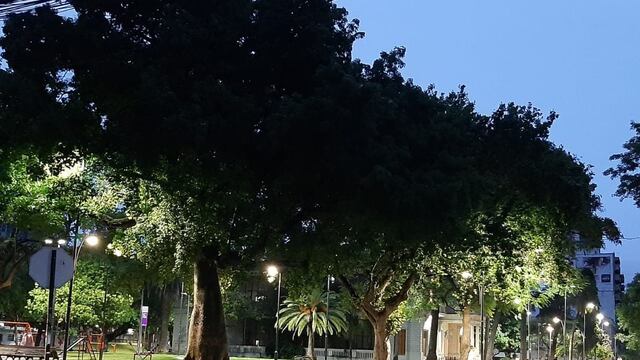 La jornada arrancó con el cielo cubierto y neblina.