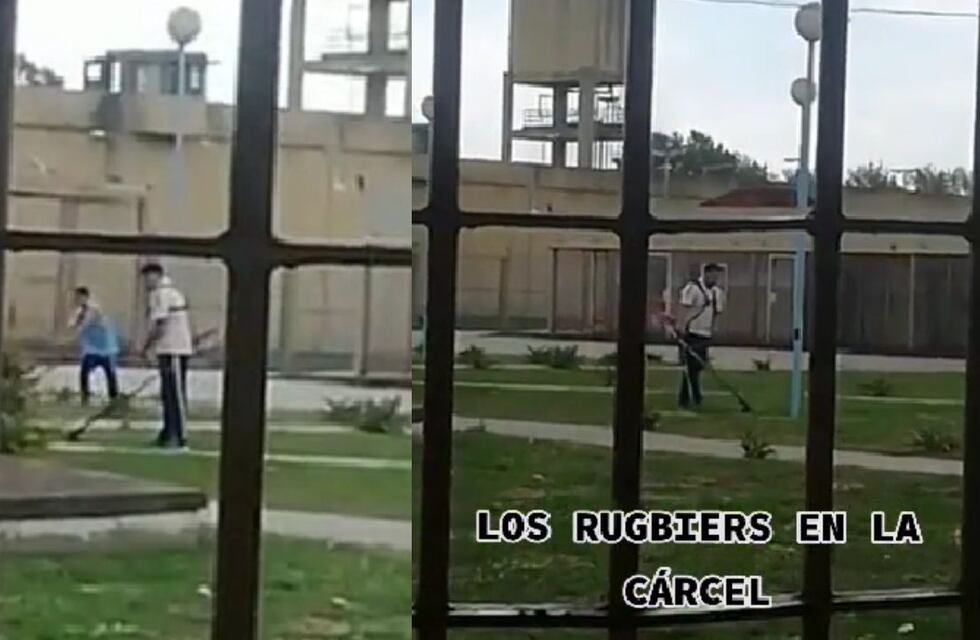 Se filtró un video de los rugbiers en prisión cortando el pasto del patio de la cárcel