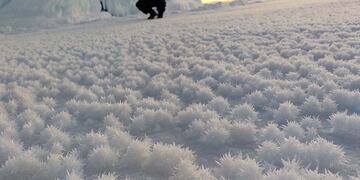 Flores de hielo en la Antártida