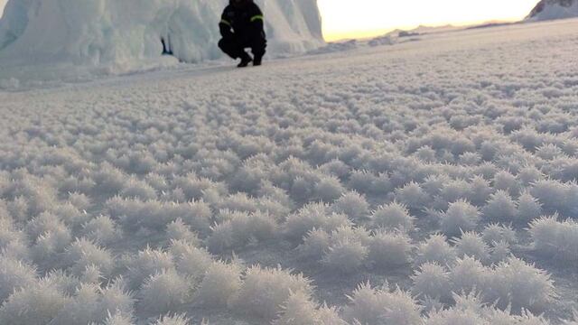 Flores de hielo en la Antártida