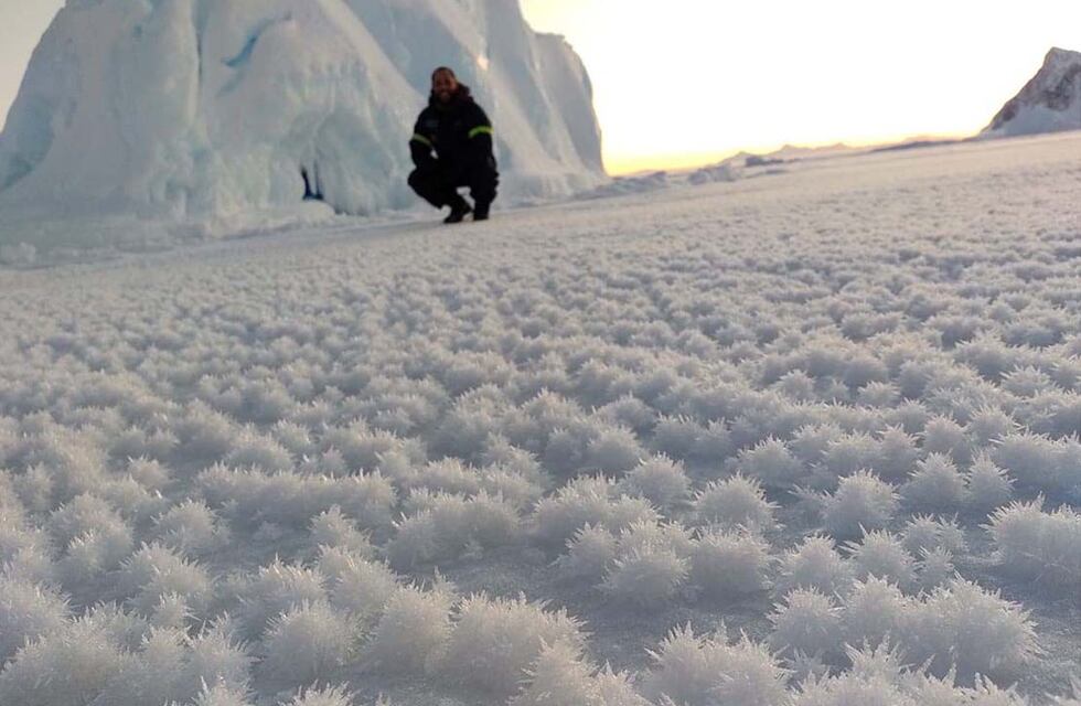 Durante la semana se realizarán actividades por el Mes Antártico