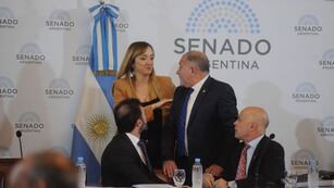 Con los dictámenes, la "ley bases" y el paquete fiscal quedaron en condiciones de ser tratados en el recinto del Senado (Foto: Clarín)