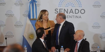 Con los dictámenes, la "ley bases" y el paquete fiscal quedaron en condiciones de ser tratados en el recinto del Senado (Foto: Clarín)