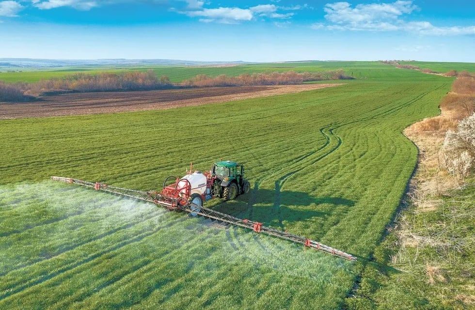 MERCADOS DURANTE EL MUNDIAL DE FUTBOL