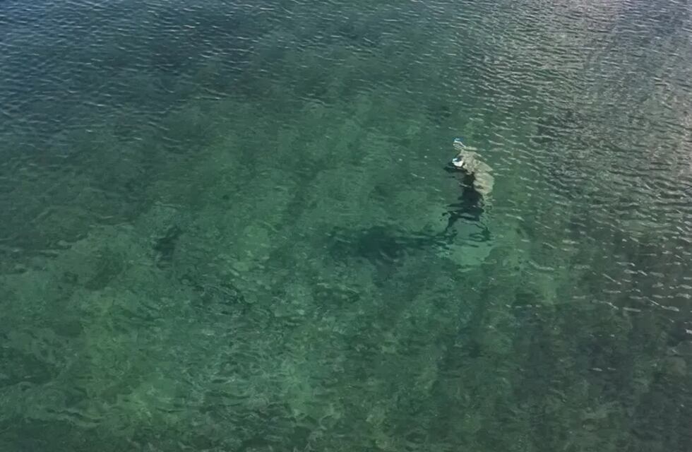 Video: encontraron la escultura de un minotauro en las profundidades del lago Mari Menuco y causó terror
