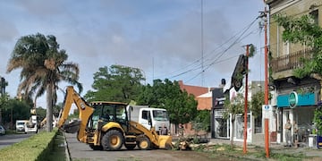 Temporal en Tres Arroyos: evacuados, árboles  caídos, techos volados y daños